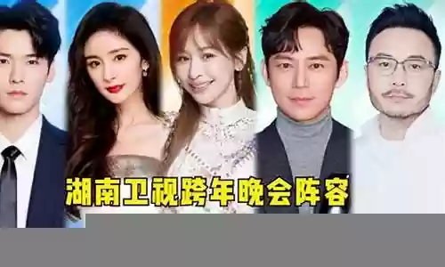 跨年阵容名单插图