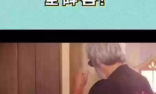 彭16阵容插图