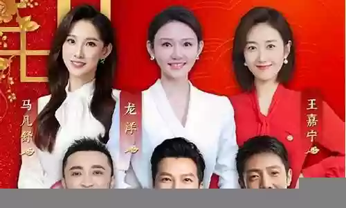央视主持阵容插图