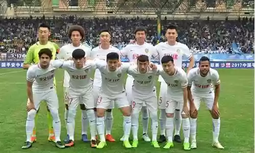 天津权健 阵容插图