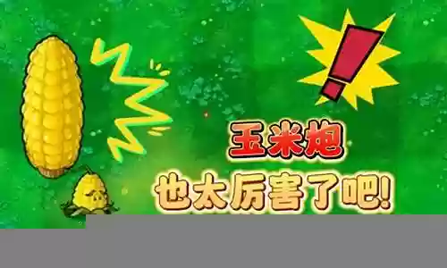 玉米炮阵容插图