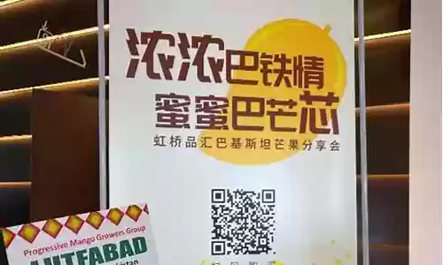 水果之王最佳搭配阵容图插图
