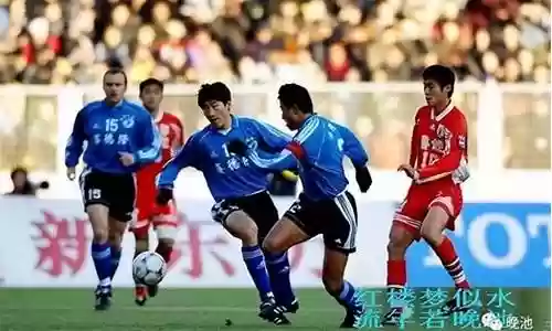 山东鲁能的阵容插图