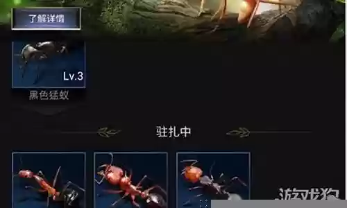 如何分析阵容插图