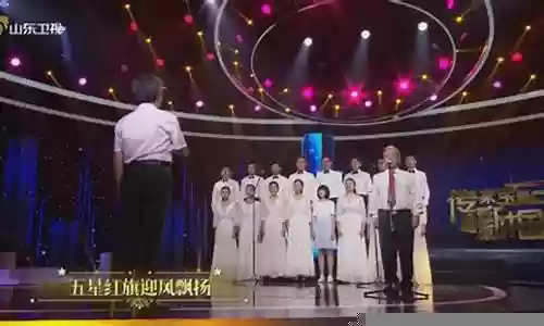 豪华阵容系列插图