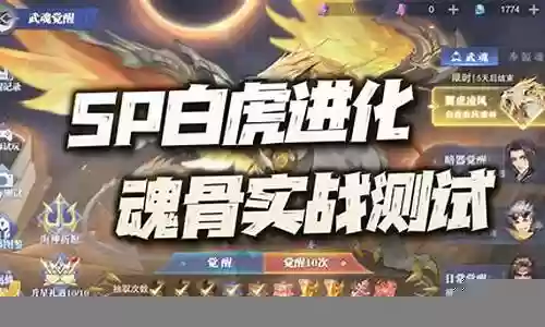 白虎sp比比东阵容搭配插图