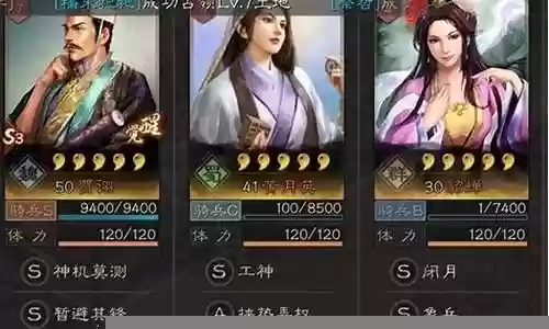 贾诩的常见阵容搭配插图