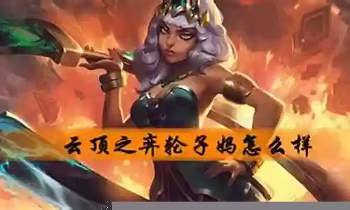 轮子妈老牛阵容插图