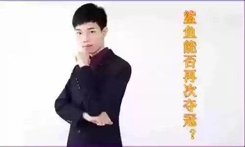 伞兵打副本阵容搭配插图