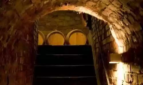 地下堡垒3 阵容推荐搭配插图
