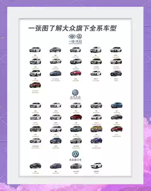 大众车阵容插图