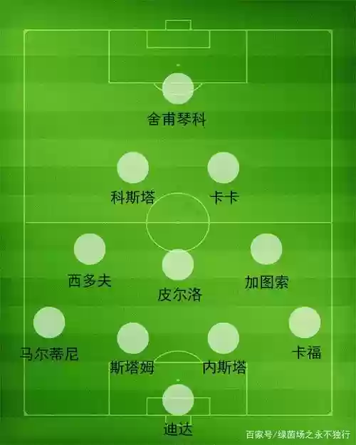 大树比赛阵容插图