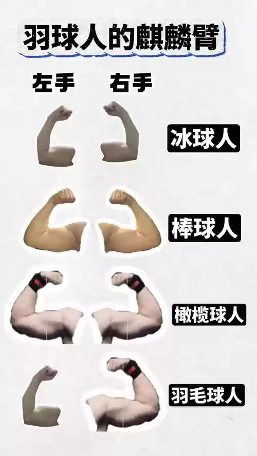 我是皇麒麟臂技能插图1