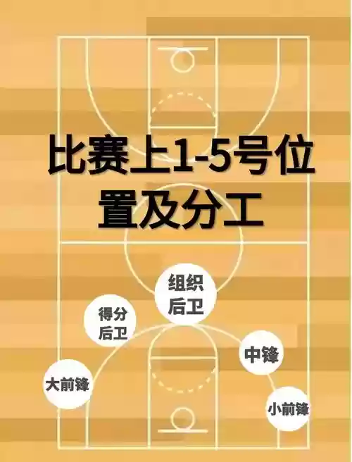 中锋后卫阵容插图