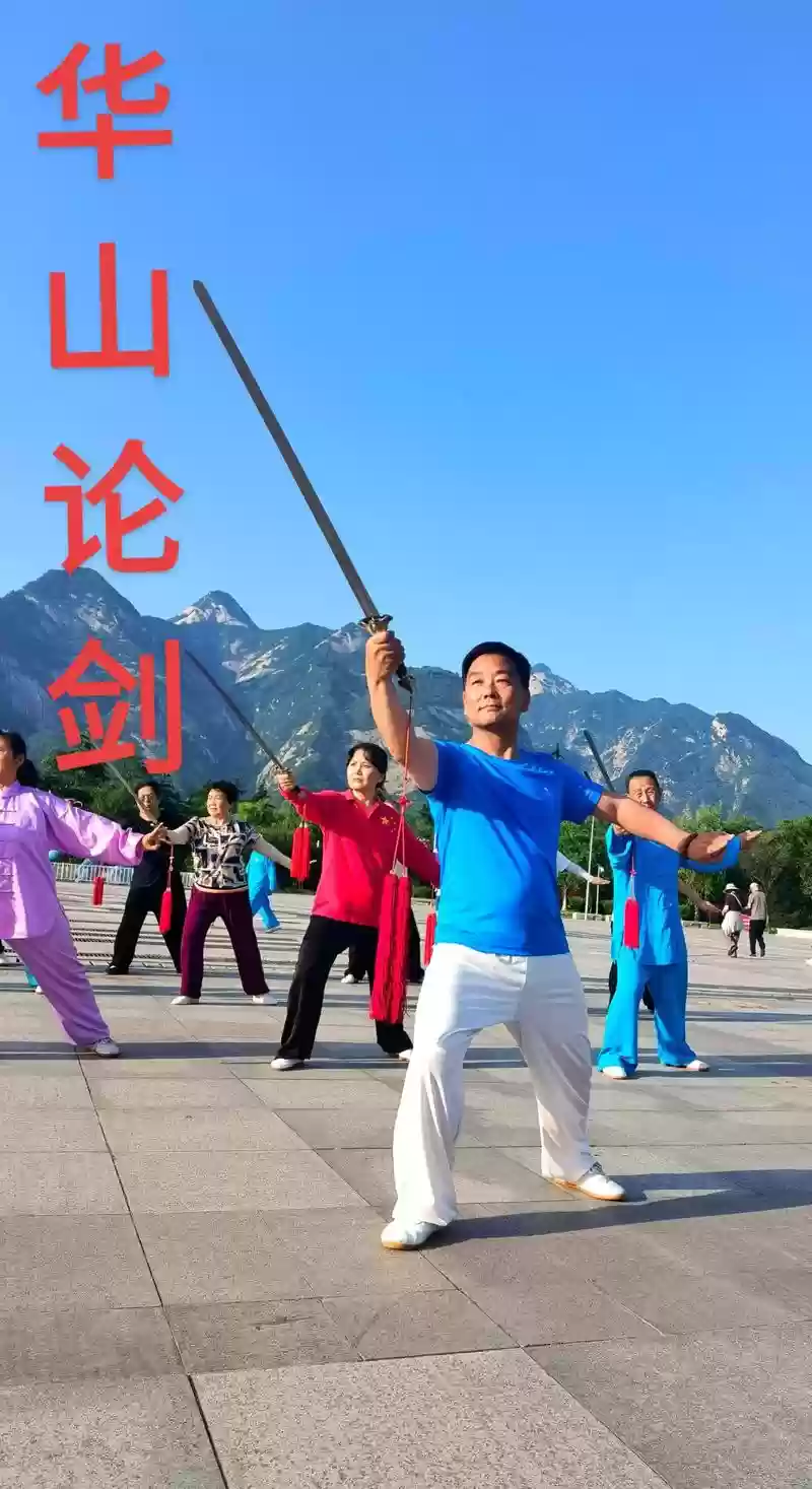 打华山阵容插图