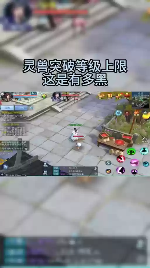 倩女幽魂手游灵兽技能翻羽插图1