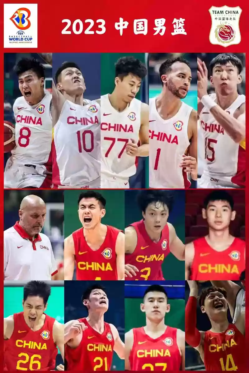 cba阵容图插图