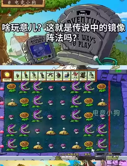 owl镜像阵容插图1