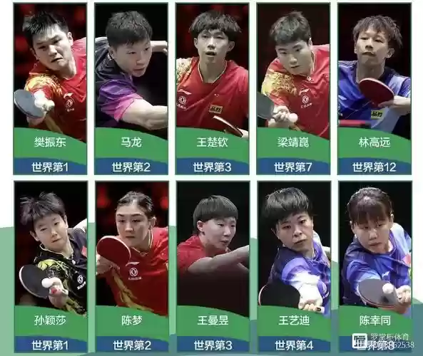 世乒赛女单阵容插图1