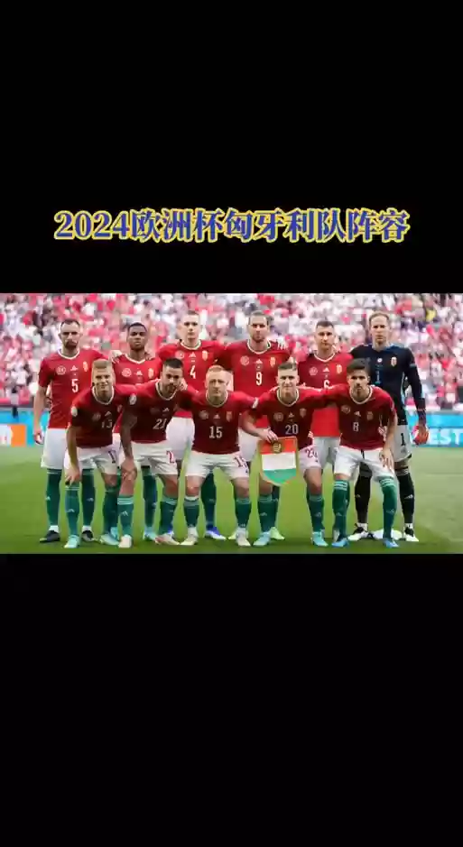 匈牙利豪华阵容插图1