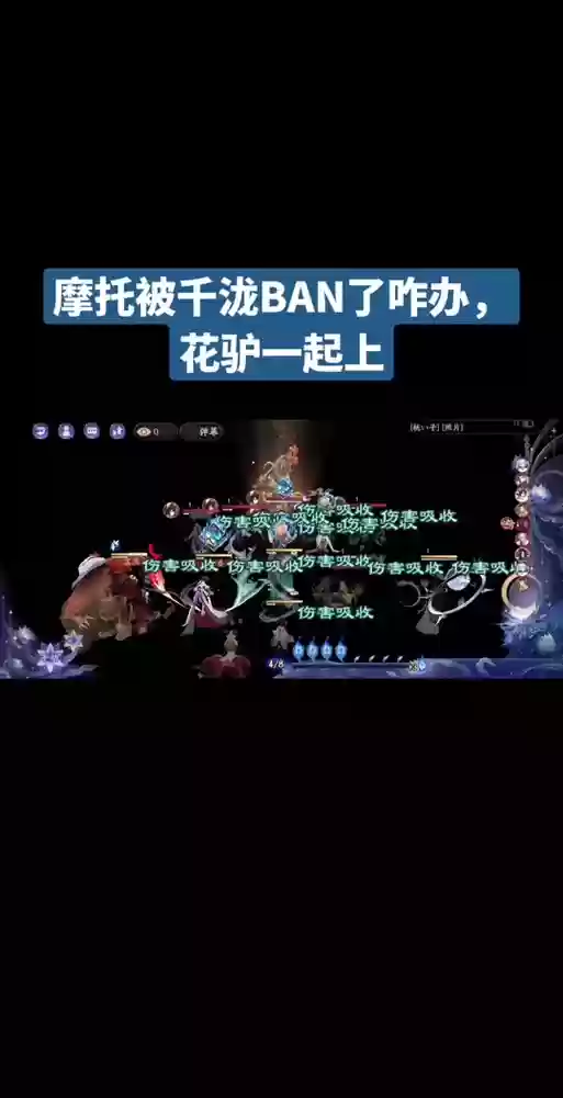 花驴阵容搭配插图