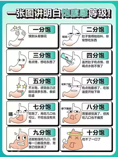 饱腹市场攻略插图