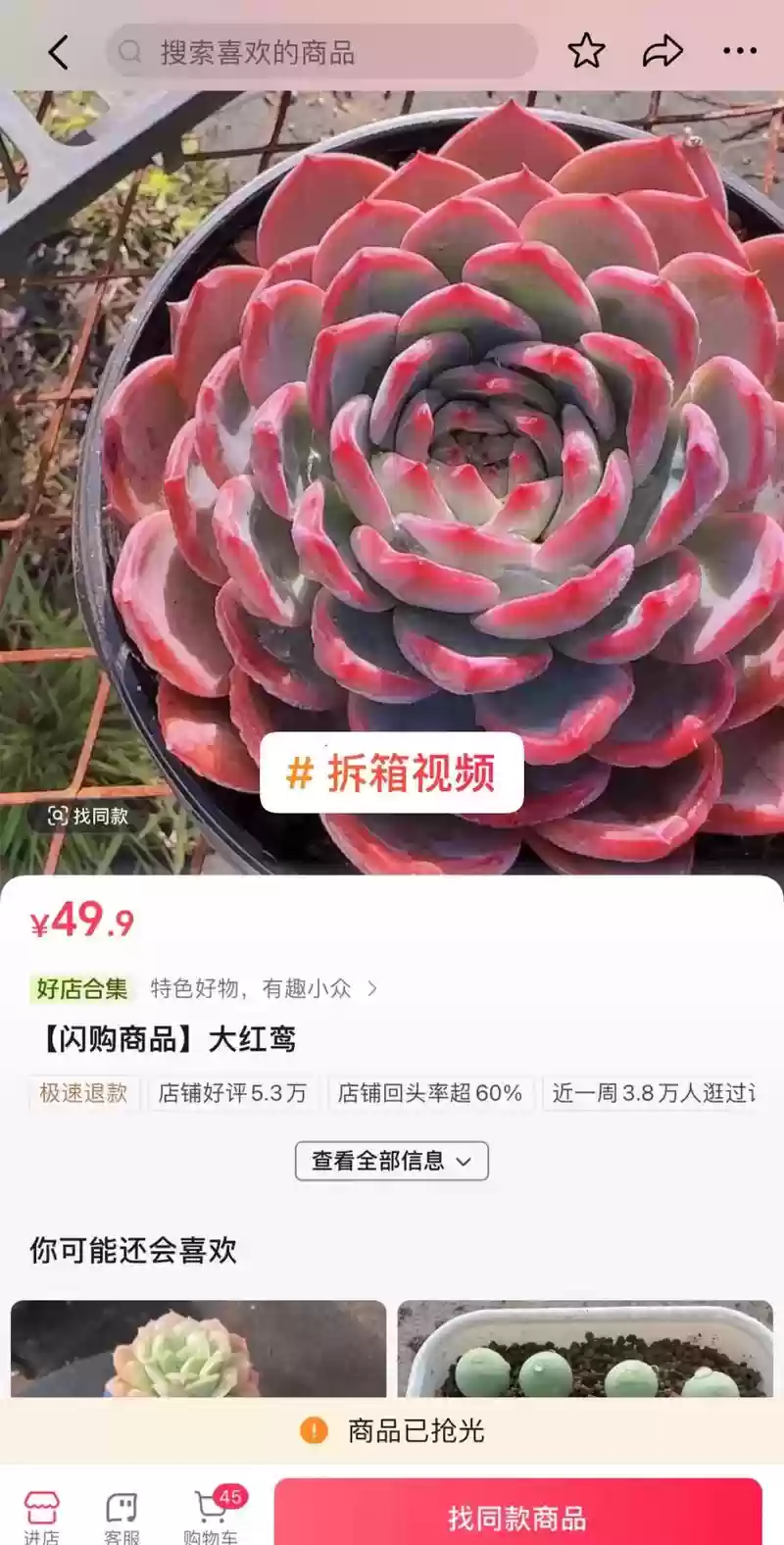 红鸾阵容插图1