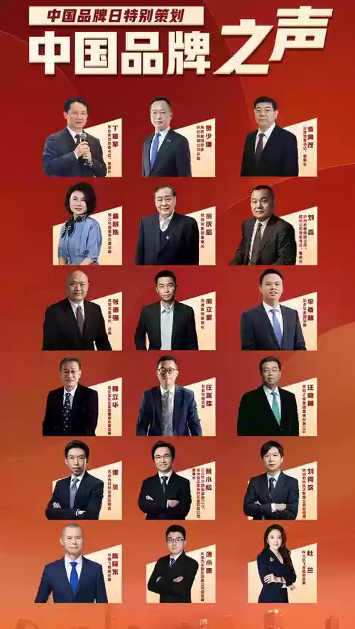 中国品牌阵容插图1