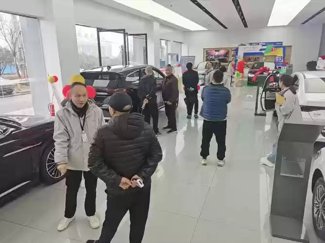 汽车销售阵容插图