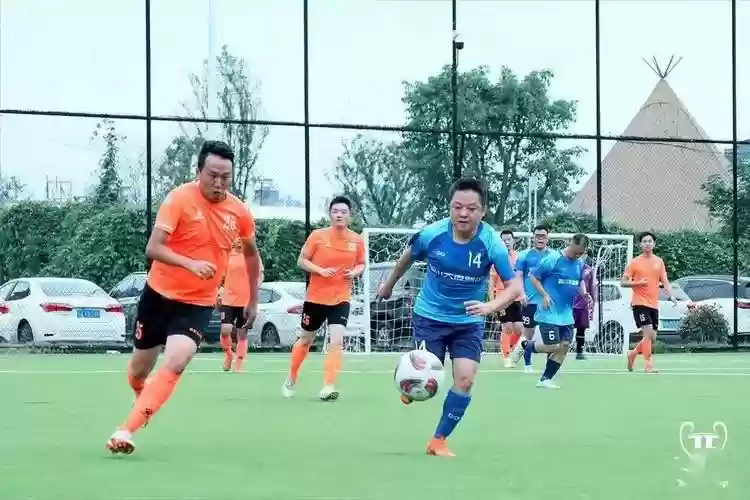 天府杯阵容插图