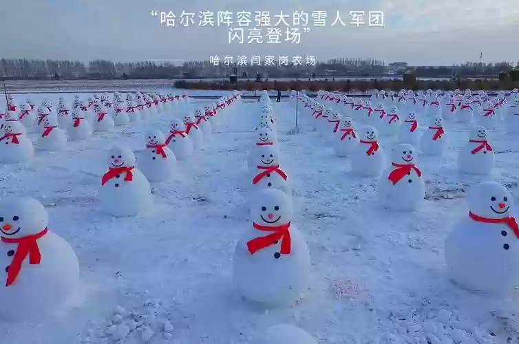 雪人五阵容插图