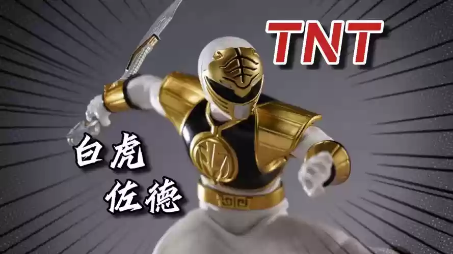 白虎黑金阵容插图1