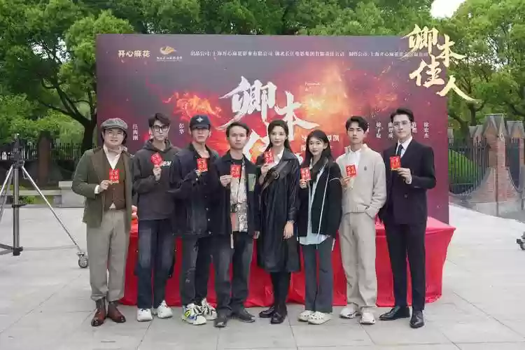 风麻花阵容插图
