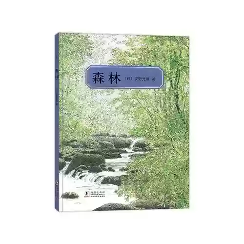 森林光阵容插图