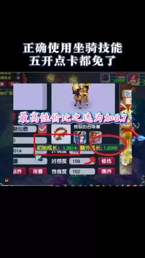 梦幻西游坐骑技能DT插图