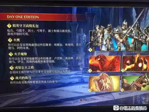 国王的恩赐最好的武器_1插图1
