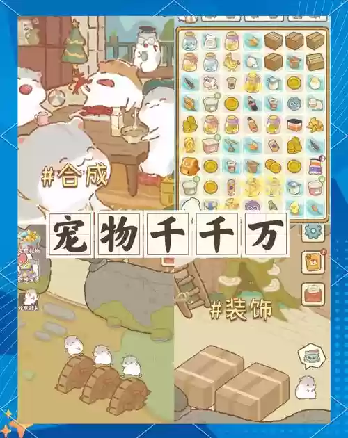 仓鼠朋友阵容_1插图1