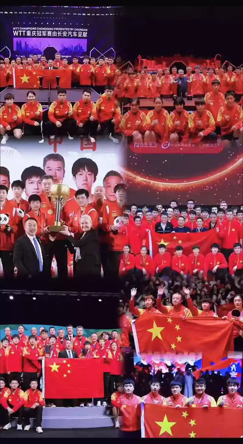 中国夺冠阵容插图