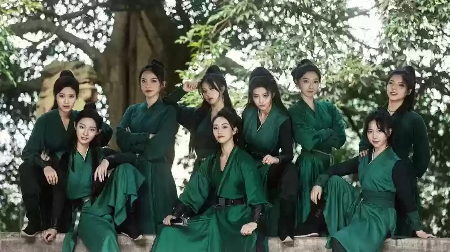 女武师阵容插图1