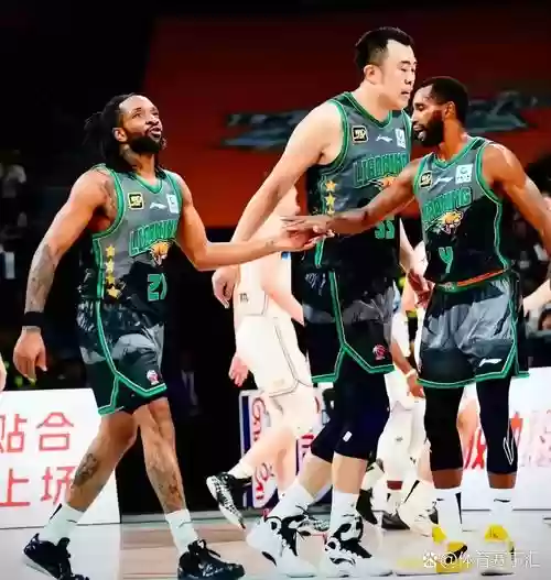 新疆辽宁阵容插图1