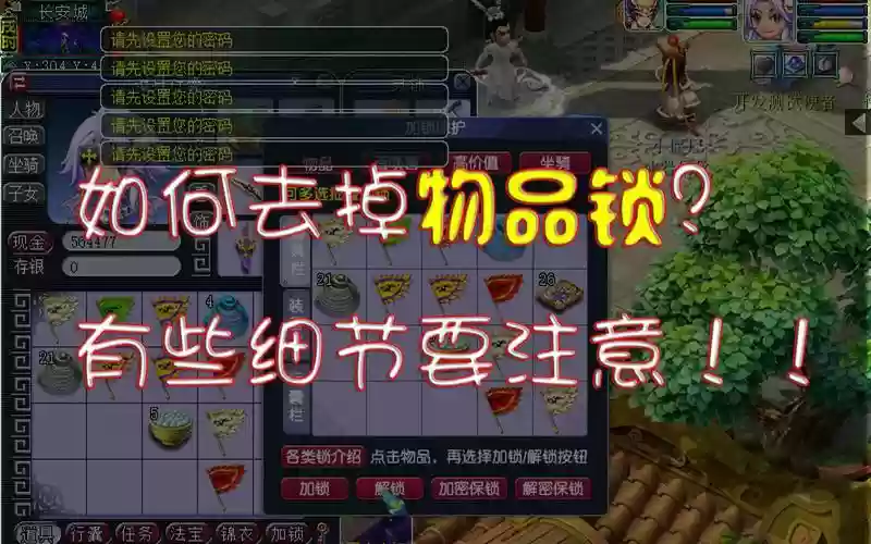 梦幻西游怎么设置安全锁插图1