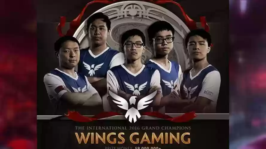 wingseg阵容插图1