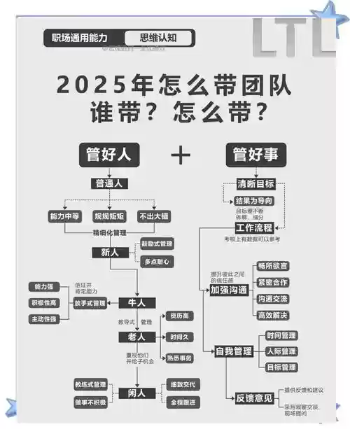 团队最佳阵容搭配图，最佳团队怎么写插图1