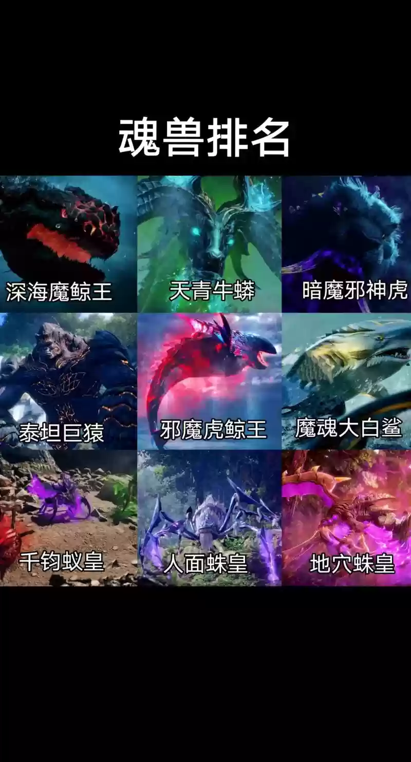 斗罗主蜘蛛阵容搭配，斗罗手游主蜘蛛阵容插图1