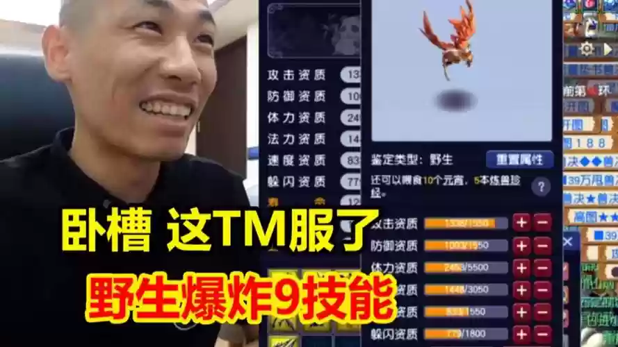 梦幻西游野生宠物合，梦幻西游野生宝宝合成插图