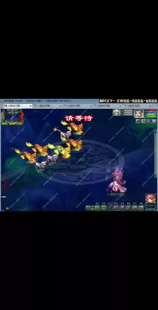 梦幻西游2变异宝宝怎么认，梦幻西游变异宝宝如何获得插图