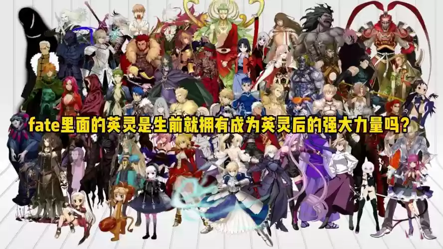 fatec闪阵容搭配插图