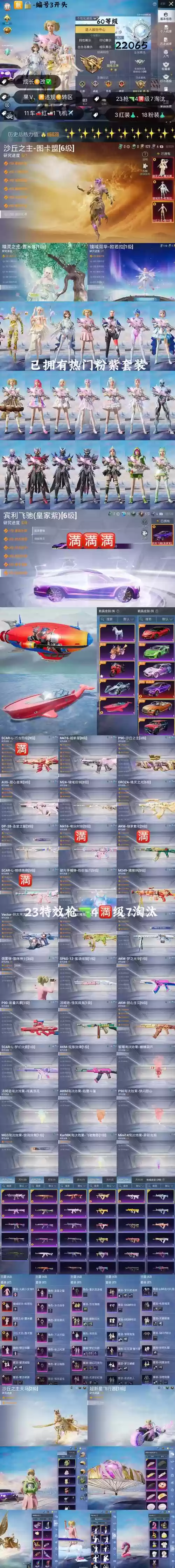 奥古之光稀有装备，奥古之光稀有装备有哪些插图1