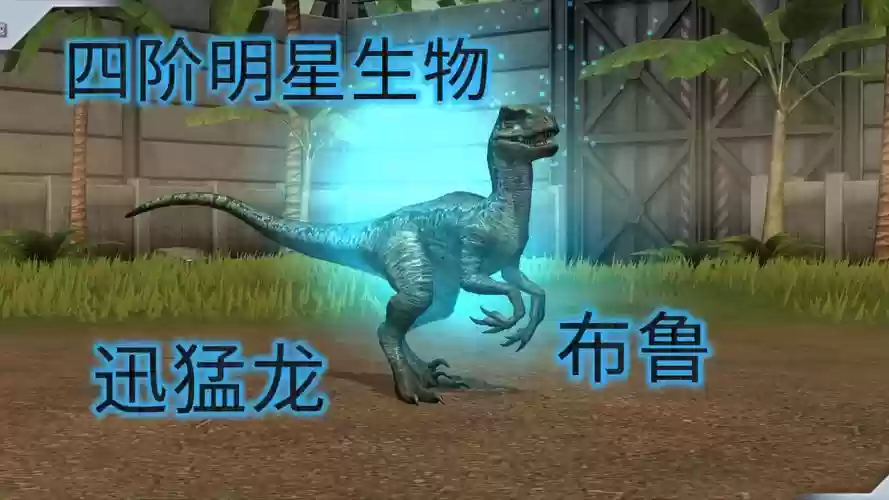 布鲁技能介绍视频，布鲁的绝招插图