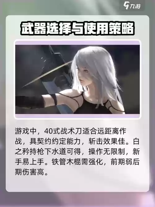 尼尔武器比较，尼尔武器比较好的套装插图1